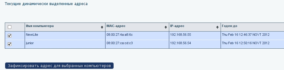 alterator-dhcp-fixed