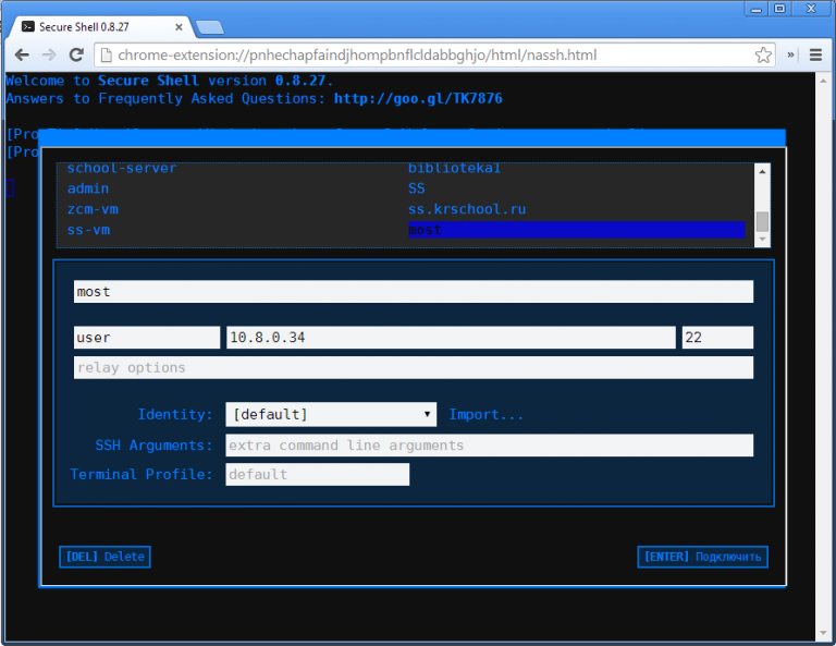 Интерфейс расширения Secure Shell в Chrome